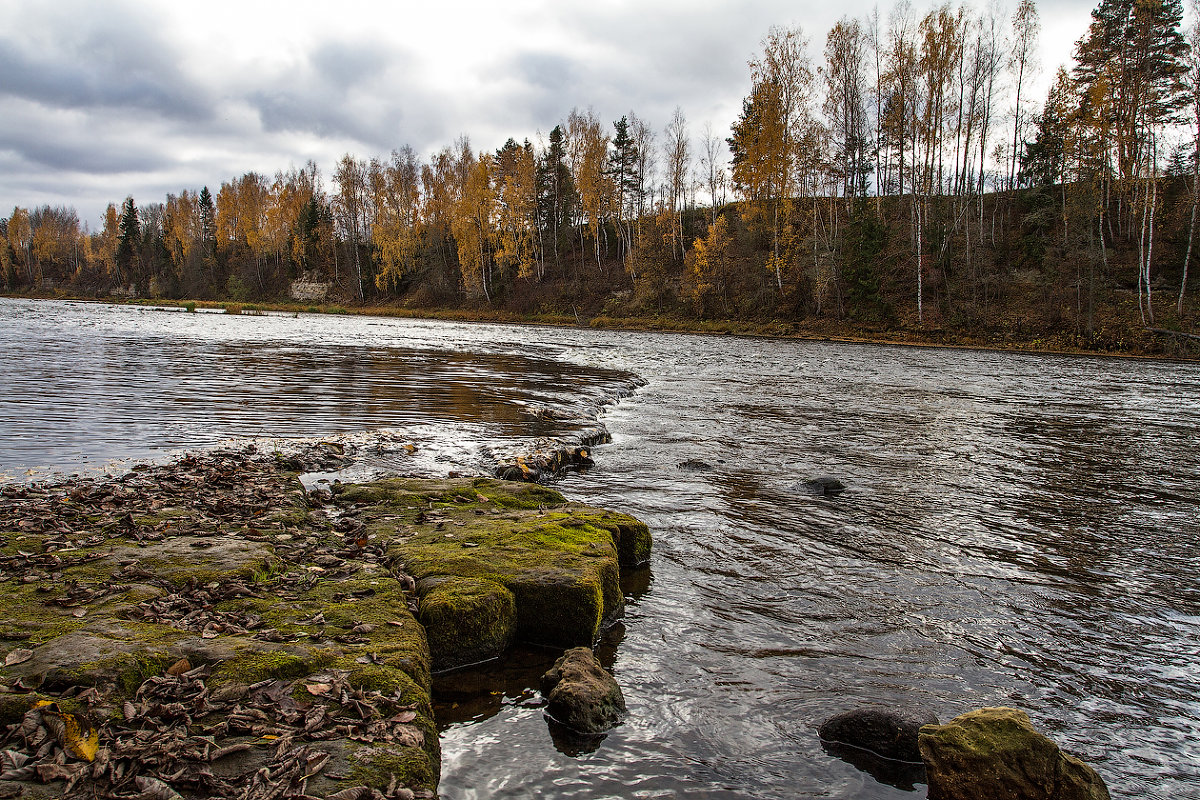 Река Мста в Новгородской области