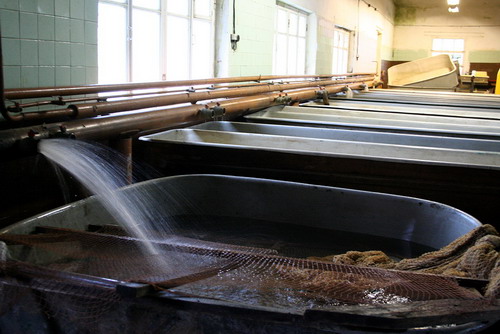 Завод по разведению рыбы Никольское
